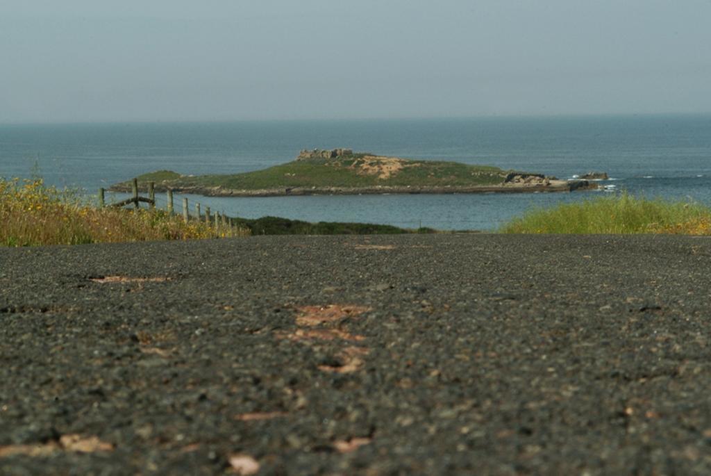 Parque De Campismo Da Ilha Do Pessegueiro Otel Porto Covo Oda fotoğraf